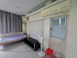 Pavilion Park (D23), Semi-Detached #503914411